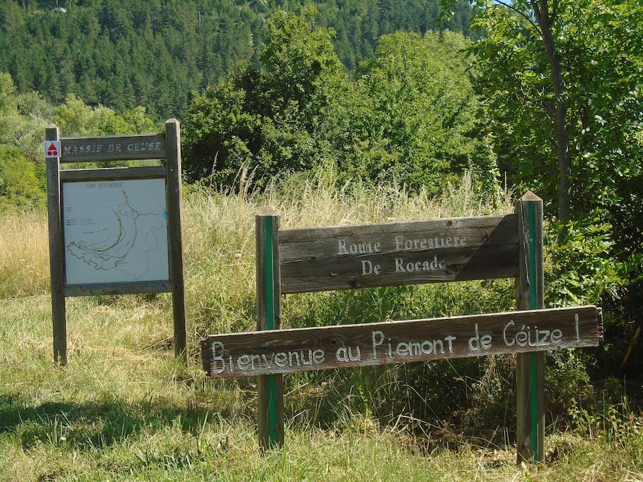 La maison est située au bord de la route forestière