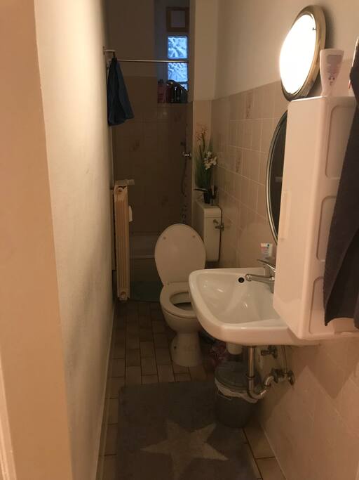 Small bathroom with shower, typical for the area I live in