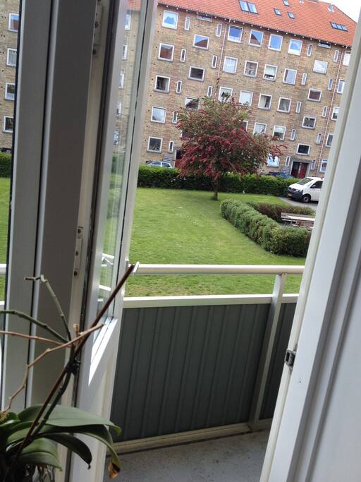Balcony from the living room
