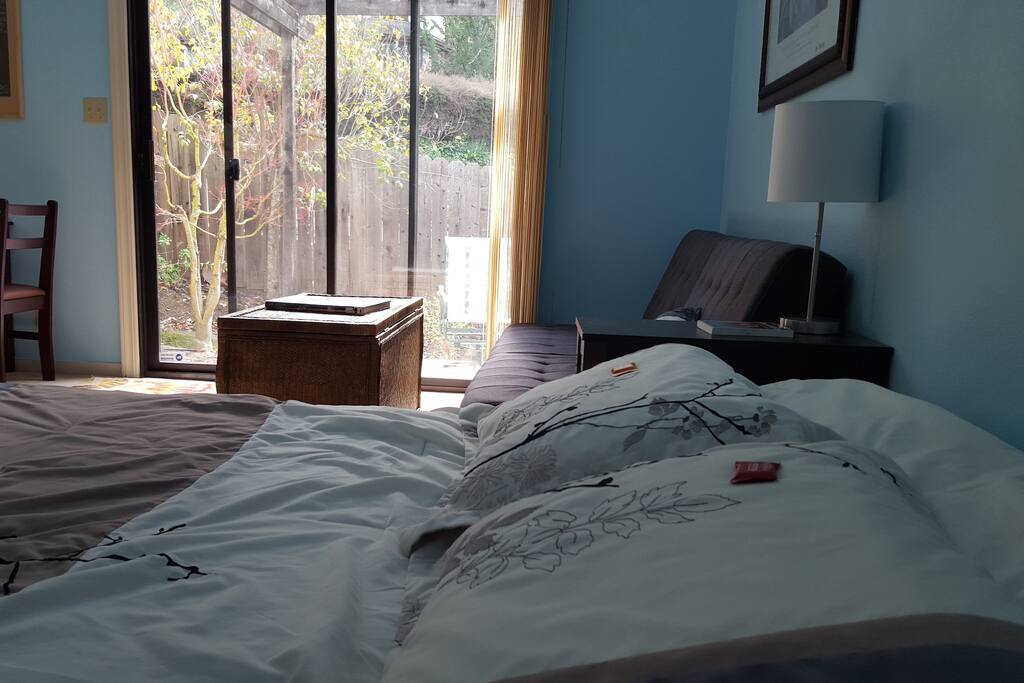 Awake to birds and sunshine.