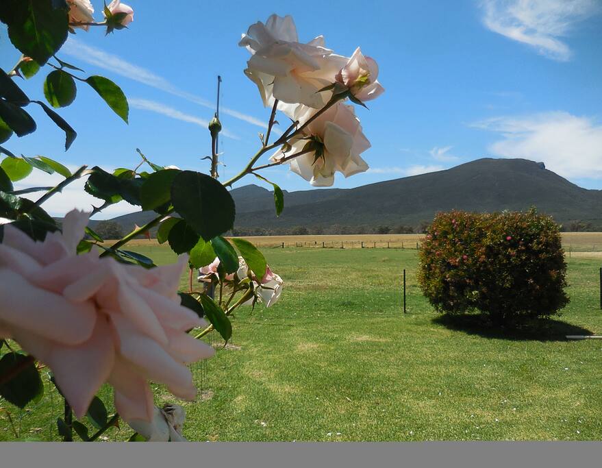 Mt Abrupt, to hike, only a few kms away from your stay.