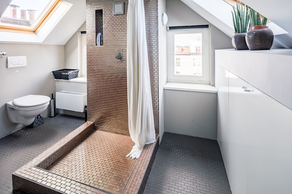 the bathroom, with second toilet