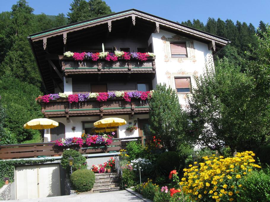 Blütenpracht im Sommer