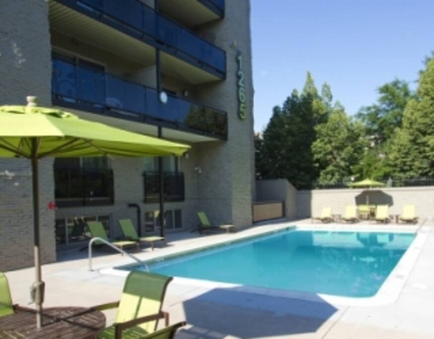 Great Pool and BBQ area!