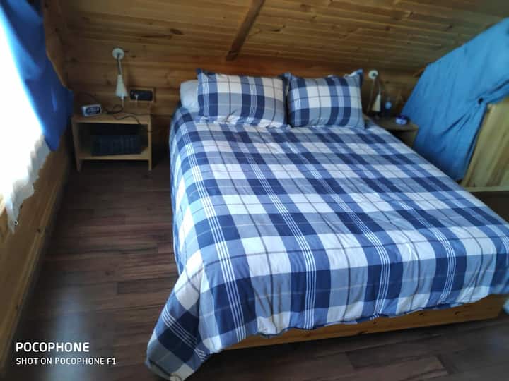Habitación 1