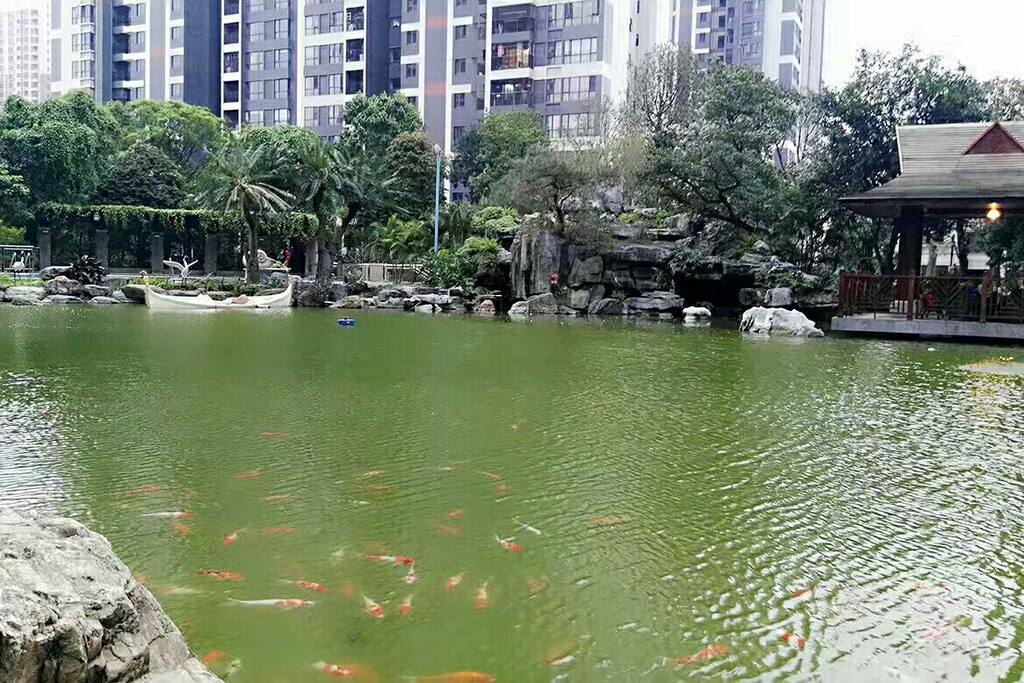 楼下风景