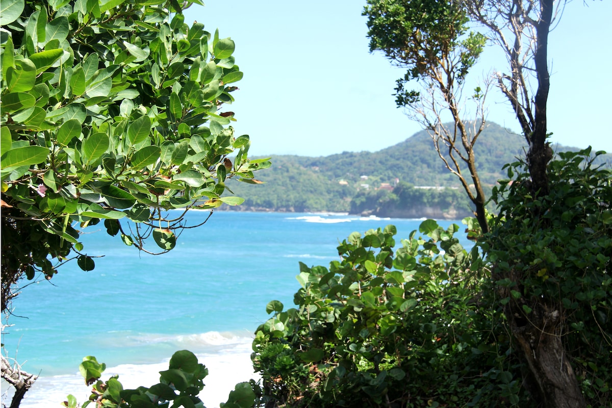 Lush green foliage frames a tranquil view of the ocean, where soft waves gently meet the shore. A distant hillside adds depth to the landscape, highlighting the natural beauty of the Caribbean coast.