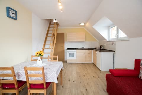 Apartment Dasha