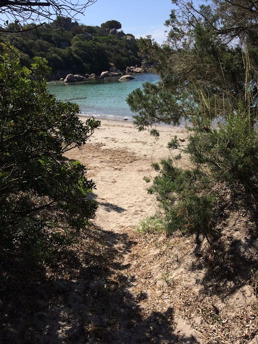 accès direct de la résidence à la plage