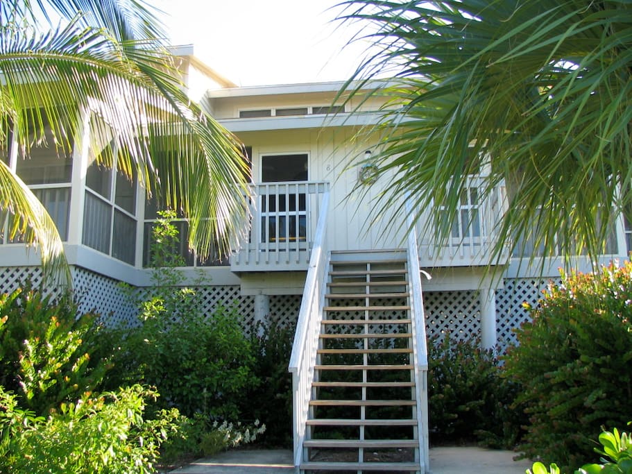 Back Deck