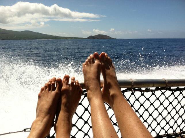 Charming Log House! Sacred Garden Farm Stay gallery image 2