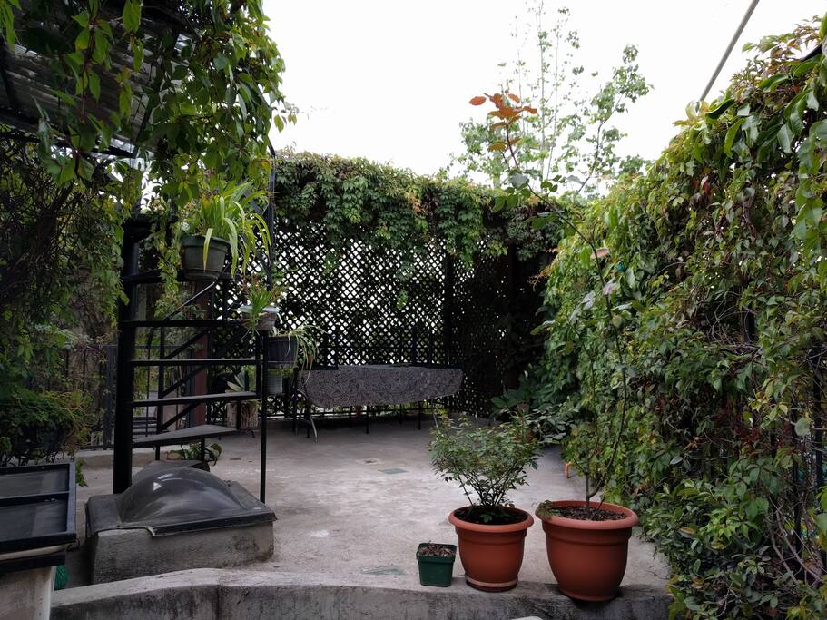 The Patio