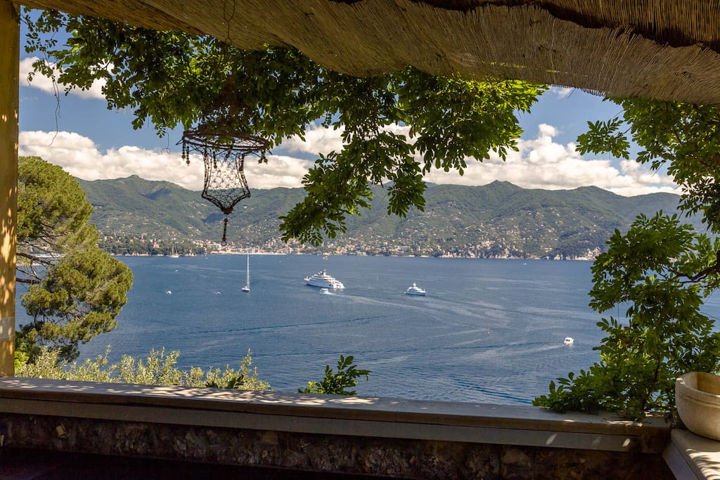 View From Verandah