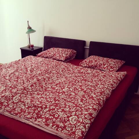 Spacious historical flat, excellent location gallery image 2