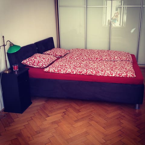 Spacious historical flat, excellent location