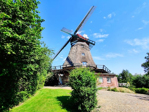 Windmühle Lindaumühlenholz