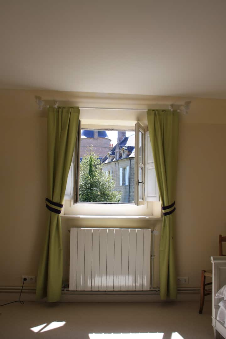 2ème chambre à 2 lits simples (vue sur le parc et le château)