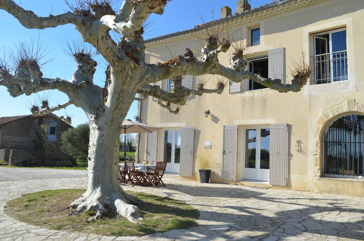 The image displays a traditional mas with light-colored stone walls, featuring large windows and wooden shutters. A spacious courtyard is visible, adorned with a gnarled tree, a wooden table with chairs, and an umbrella for shade, set against a clear blue sky.