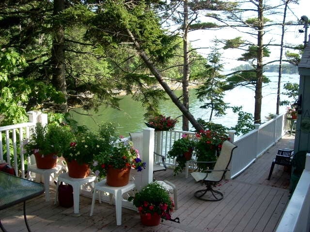 A spacious deck is surrounded by tall trees and vibrant flowering pots, providing an inviting outdoor space. The deck overlooks the calm water, creating a serene setting for relaxation. A combination of chairs and a table is thoughtfully arranged, ideal for enjoying the natural beauty.