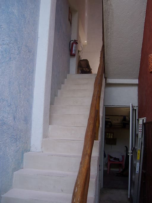 elements of the island Apartments for Rent in Isla Mujeres