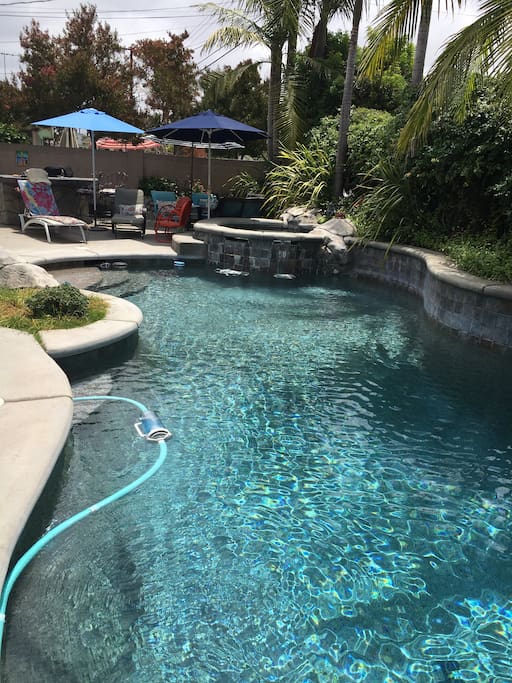 Back Yard Pool