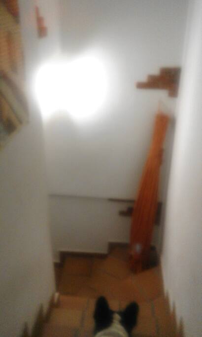 escalera bajada a zonas comunes