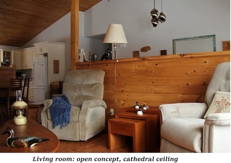 Living room - end grain wood flooring - pine cathedral ceiling
