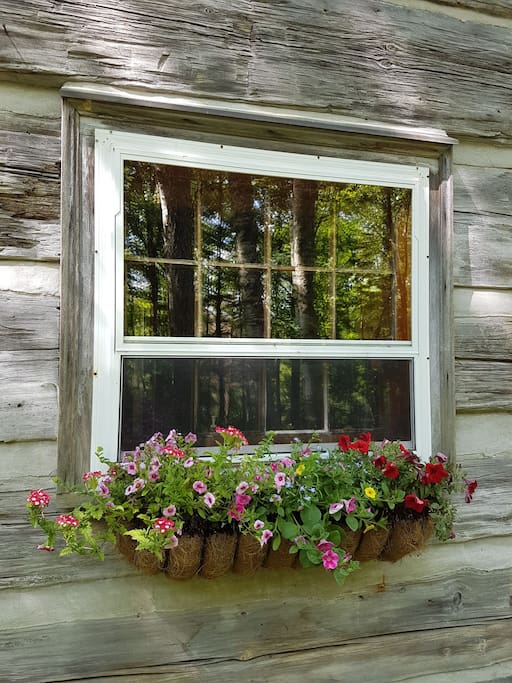 Kitchen window of cabin