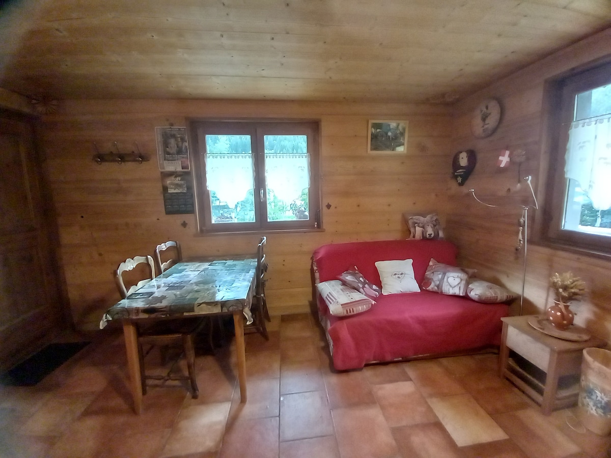 Top performing Airbnb: Apartment at the foot of the slopes in Châtel