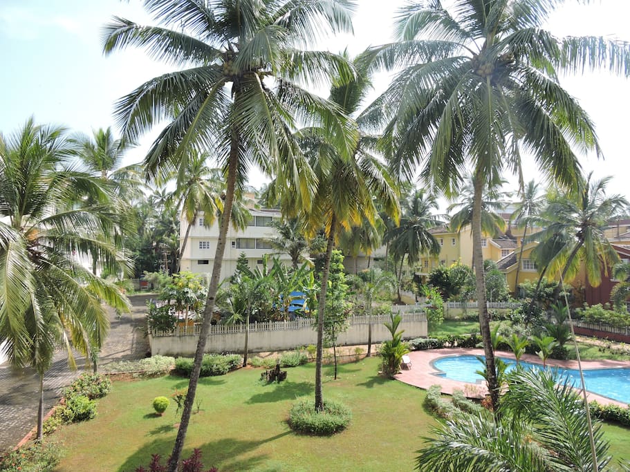 Sun & Swimming Pool