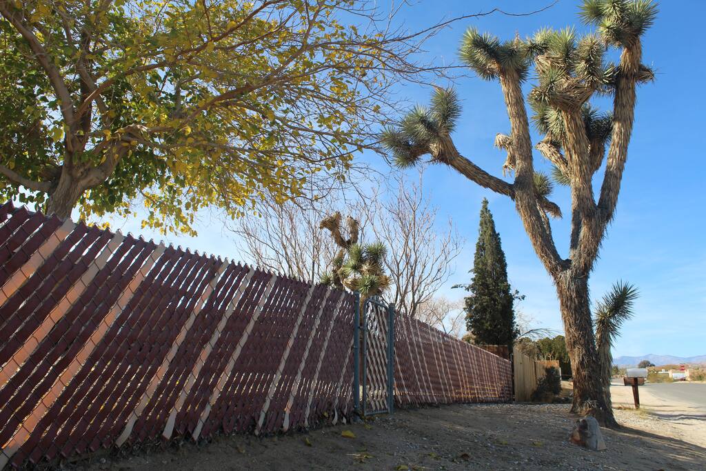 Rising Joshua Trees, nationally protected, adorn the property.