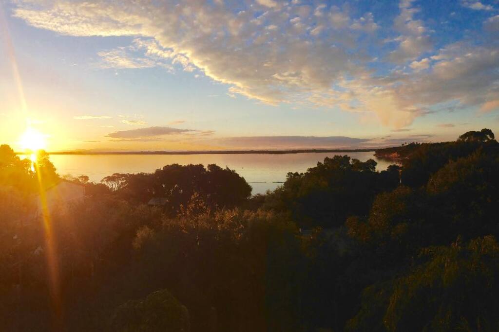 View from Deck