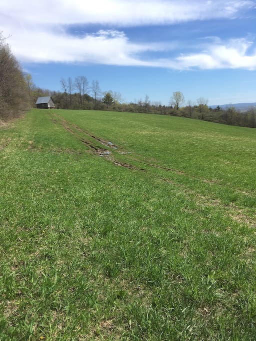 Private 8 acre pasture for peaceful solitude.