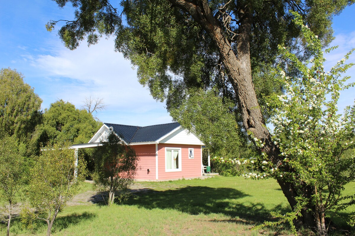 A charming cabin with a pink exterior is set within a grassy area, partially shaded by a large tree. Surrounding foliage provides a natural frame, while the clear blue sky enhances the scenery.