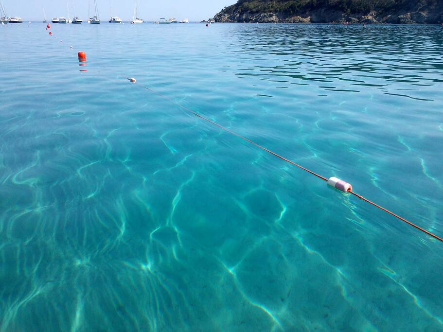 Acqua