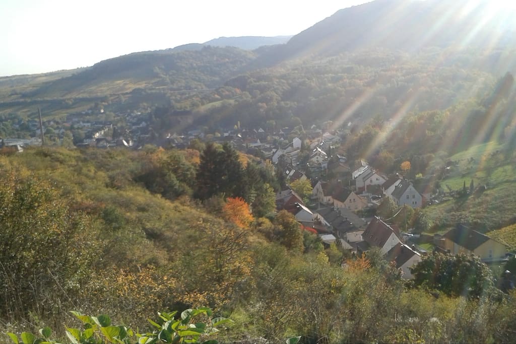 Blick über Alberweiler