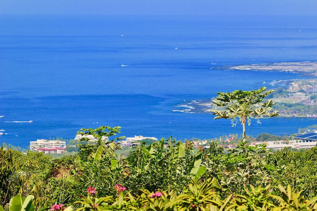 Beautiful Ocean Views