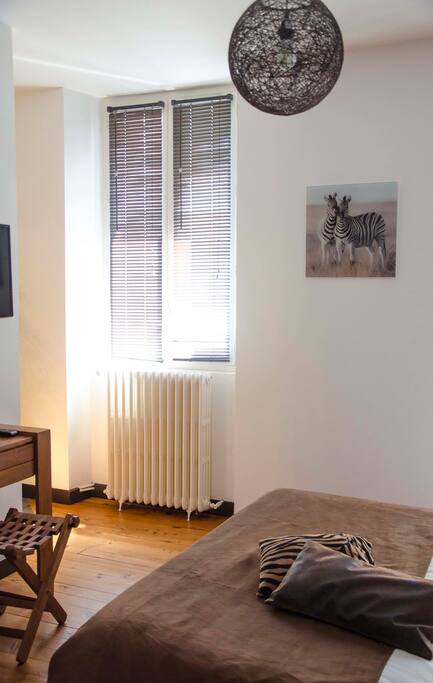 La Casa Cosy Exotique Chambre Zèbre 2