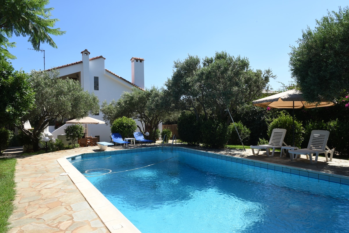 A refreshing outdoor pool is surrounded by lush greenery and palm trees, with lounge chairs positioned under sun umbrellas. The well-maintained garden leads to a two-story house, providing a serene space for relaxation near the pool.