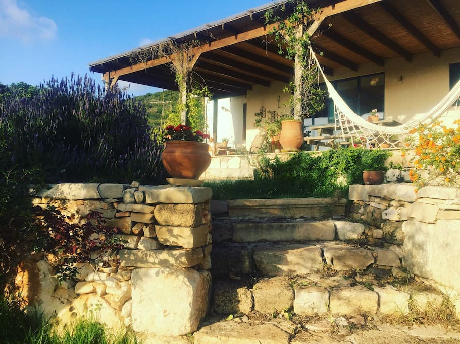 House from the front. The steps lead into the olive grove.