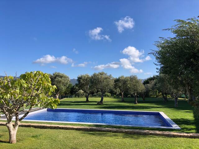 Quinta das Oliveiras gallery image 4