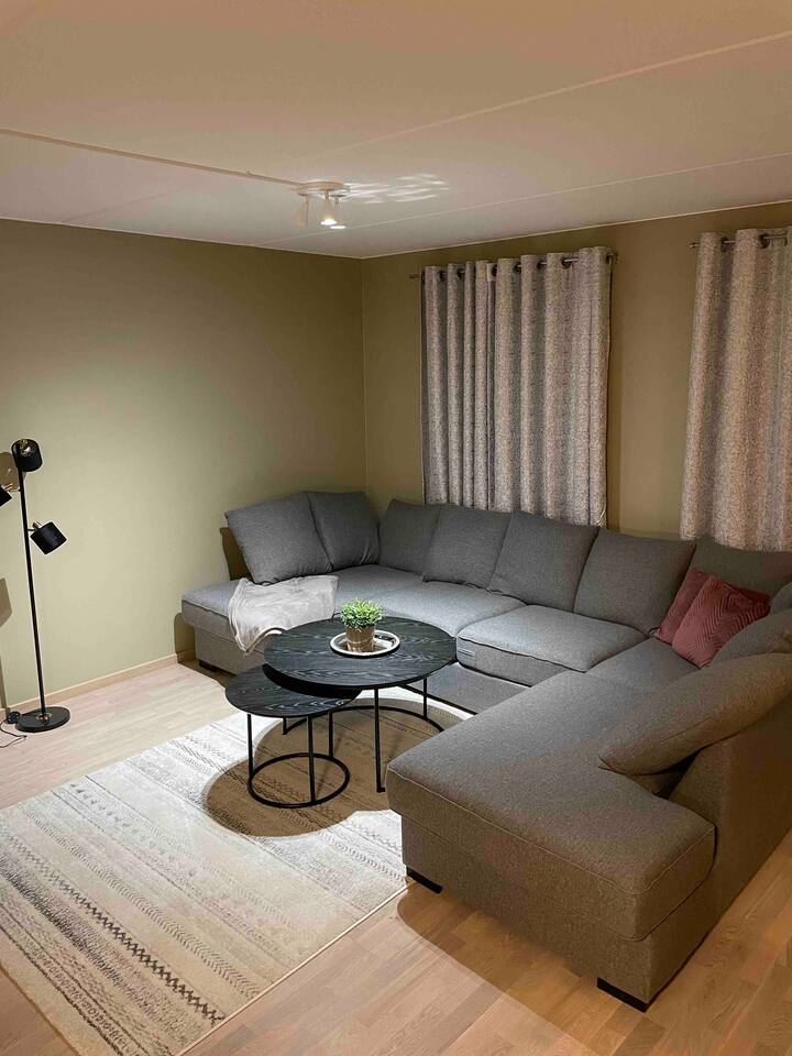 New apartment 20min from Oslo with a patio & grill Apartments for