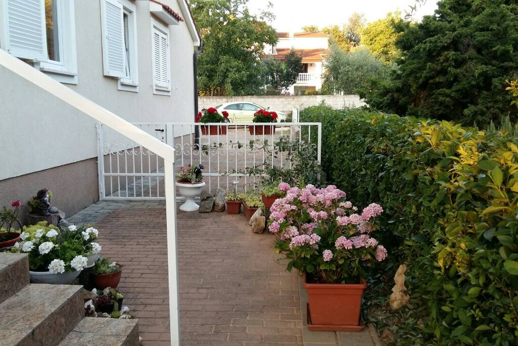 Road to terrace