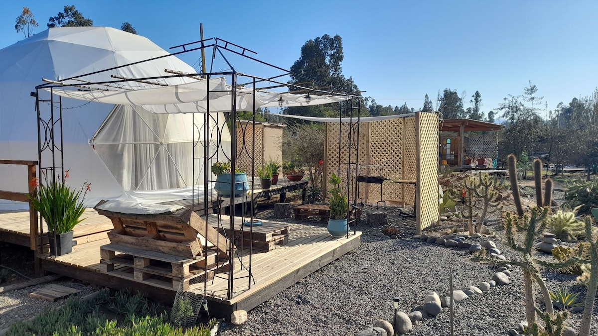 A wooden deck is furnished with a lounge area under a shaded structure, surrounded by various plants. To the left, a geodesic dome can be seen, with a backdrop of landscaping featuring rocks and cacti, capturing the essence of a rustic outdoor retreat.