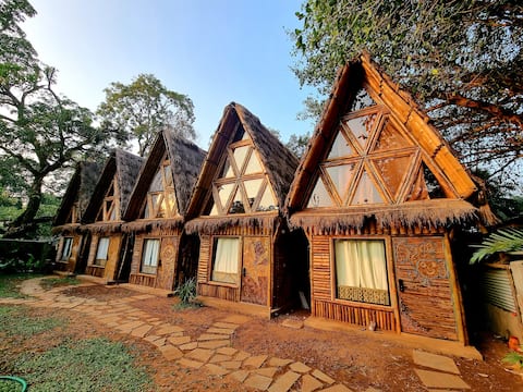 Nemo: Premium Luxury AC Cottage in Vagator