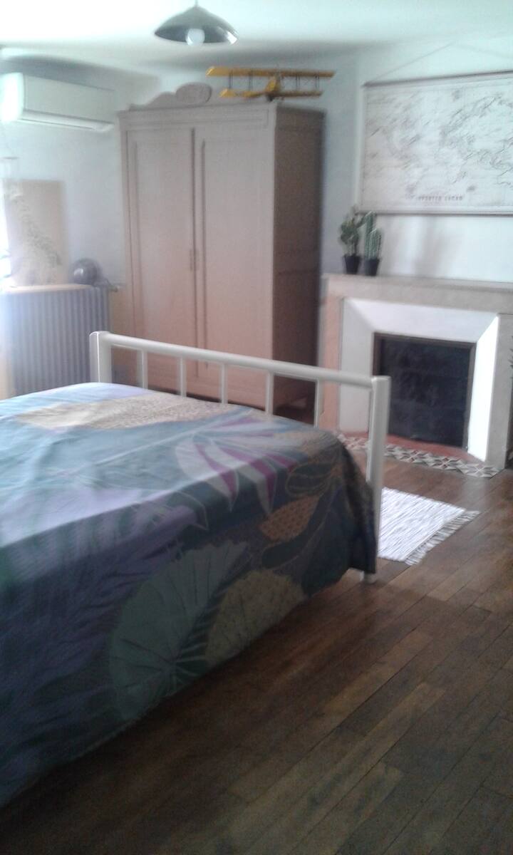 חדר שינה גדול של 25 מ"ר  מיטה 140 +מיטה 90 השראה לג'ונגל 