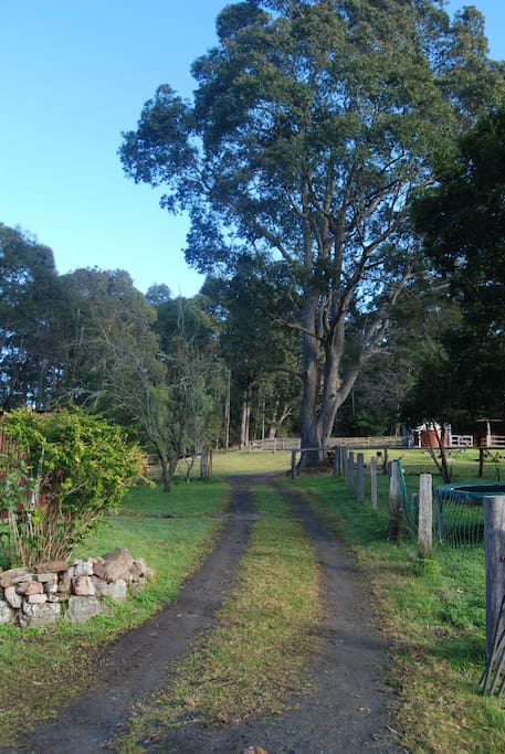 Our place offers a secluded space away from touristy spots but close to some of the best beaches (Bendalong, Jervis Bay) and bushwalks along the coast. You will need a car as there is no public transport nearby.