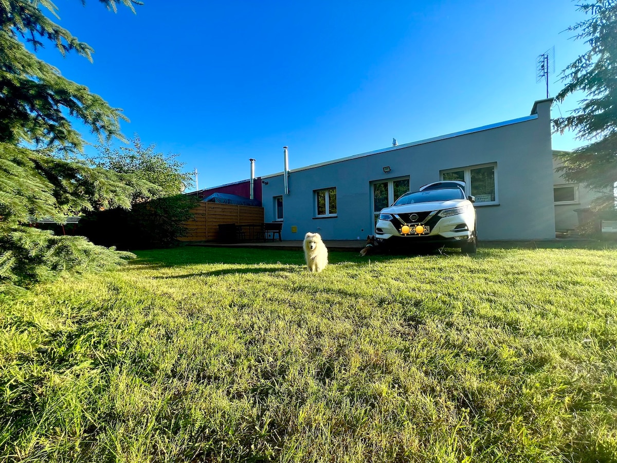 A spacious backyard is shown, featuring well-maintained green grass and a white vehicle parked nearby. A small dog is present in the foreground, with a single-story home visible in the background against a clear blue sky.
