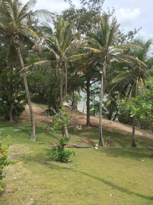 Bathsheba Park facing Apartment