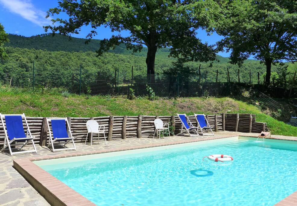 Swimming pool in a forest clearing a 100m from the house.
